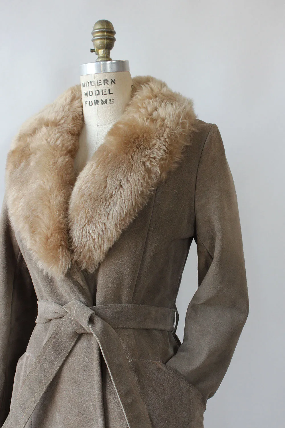 Ash Shearling Suede Jacket