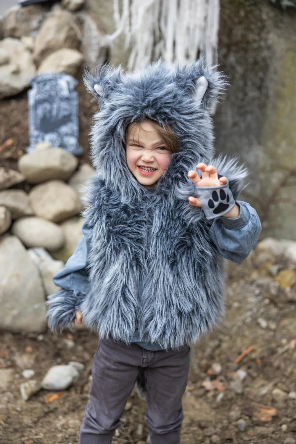 Big Bad Wolf Costume Size 5-6