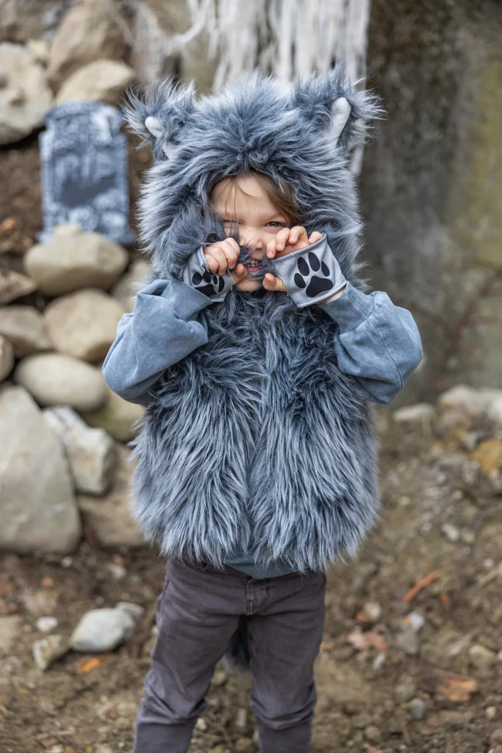 Big Bad Wolf Costume Size 5-6