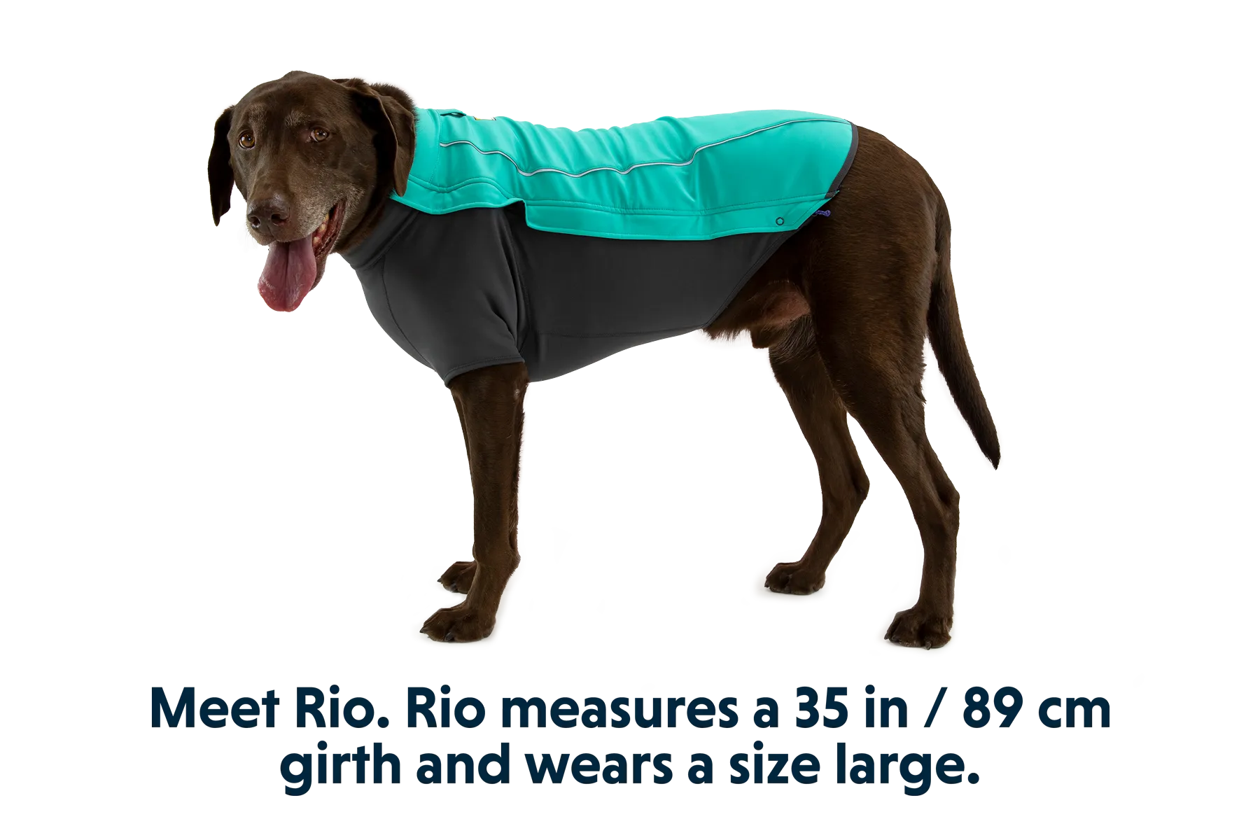 Cloud Chaser™ Dog Jacket