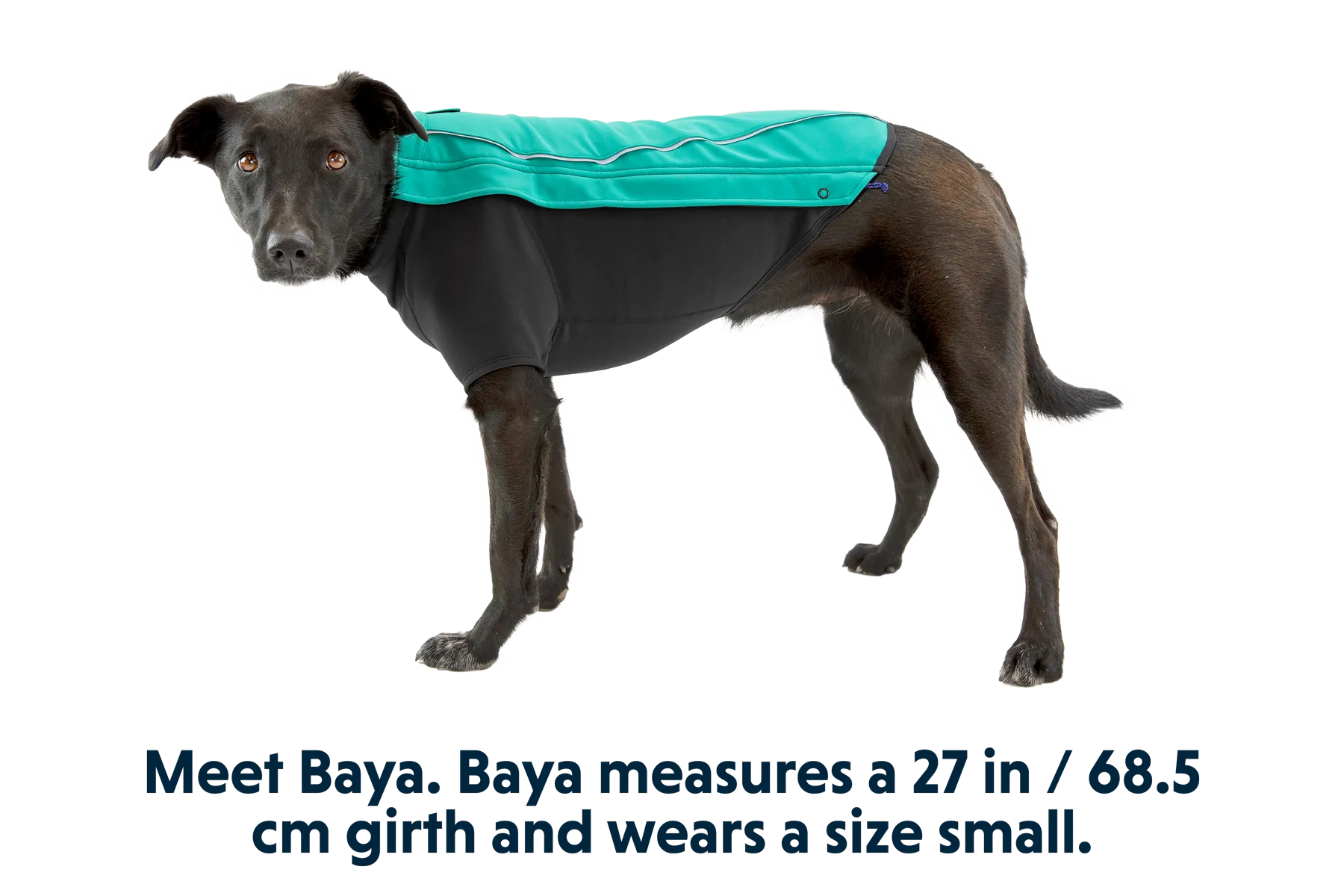 Cloud Chaser™ Dog Jacket