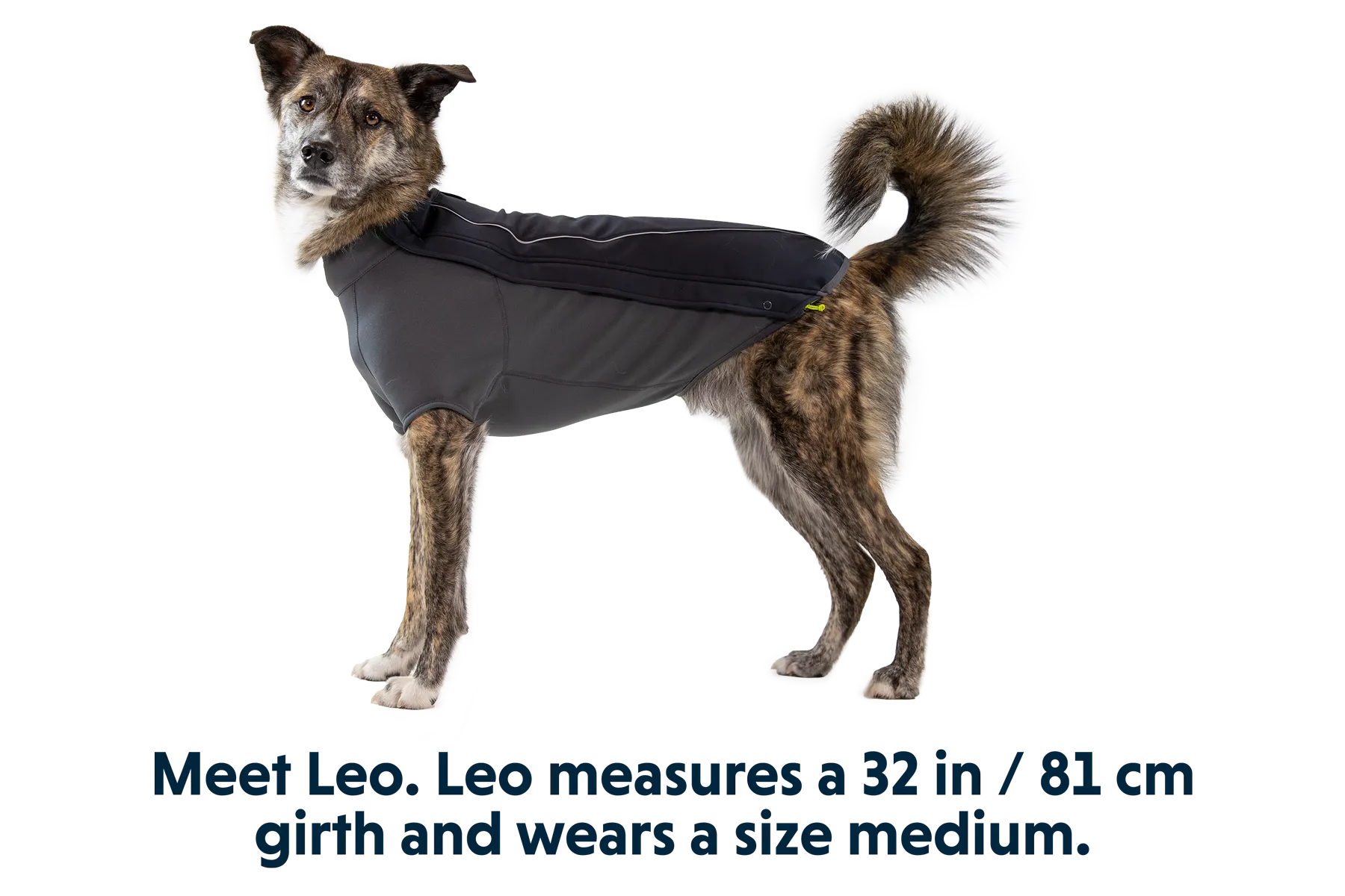 Cloud Chaser™ Dog Jacket