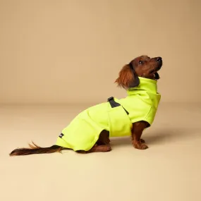 Dachshund Raincoat