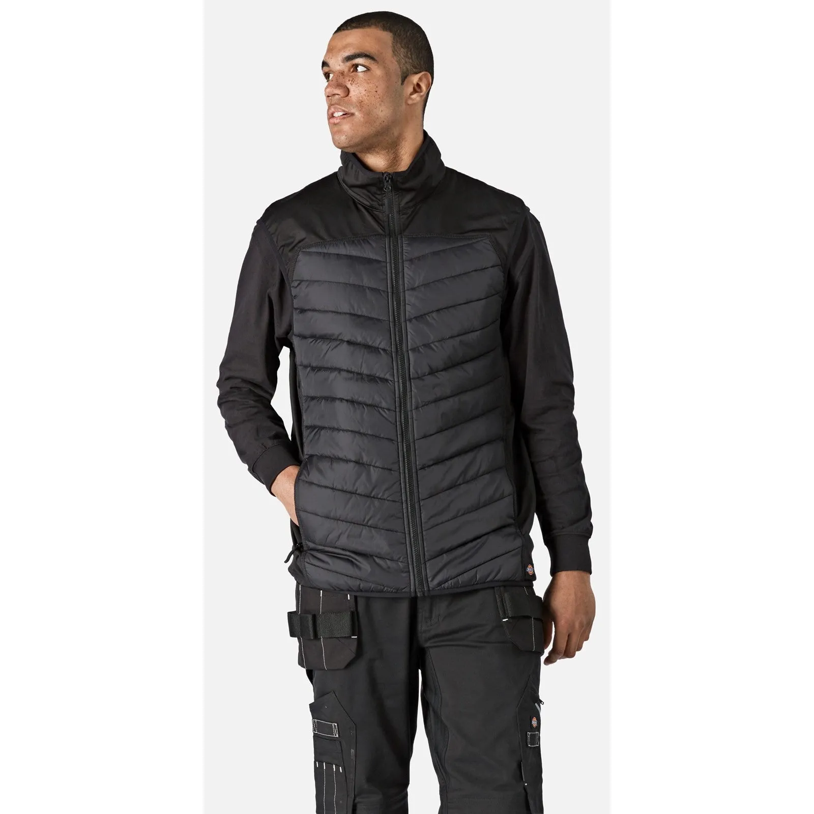 Dickies Generation Hybrid Body Warmer  Black