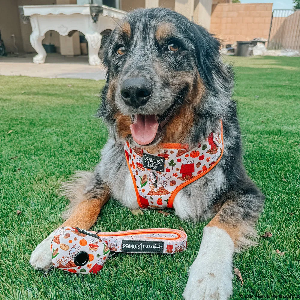 Dog Two Piece Bundle - Peanuts™ Harvest