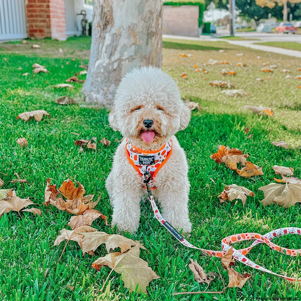 Dog Two Piece Bundle - Peanuts™ Harvest