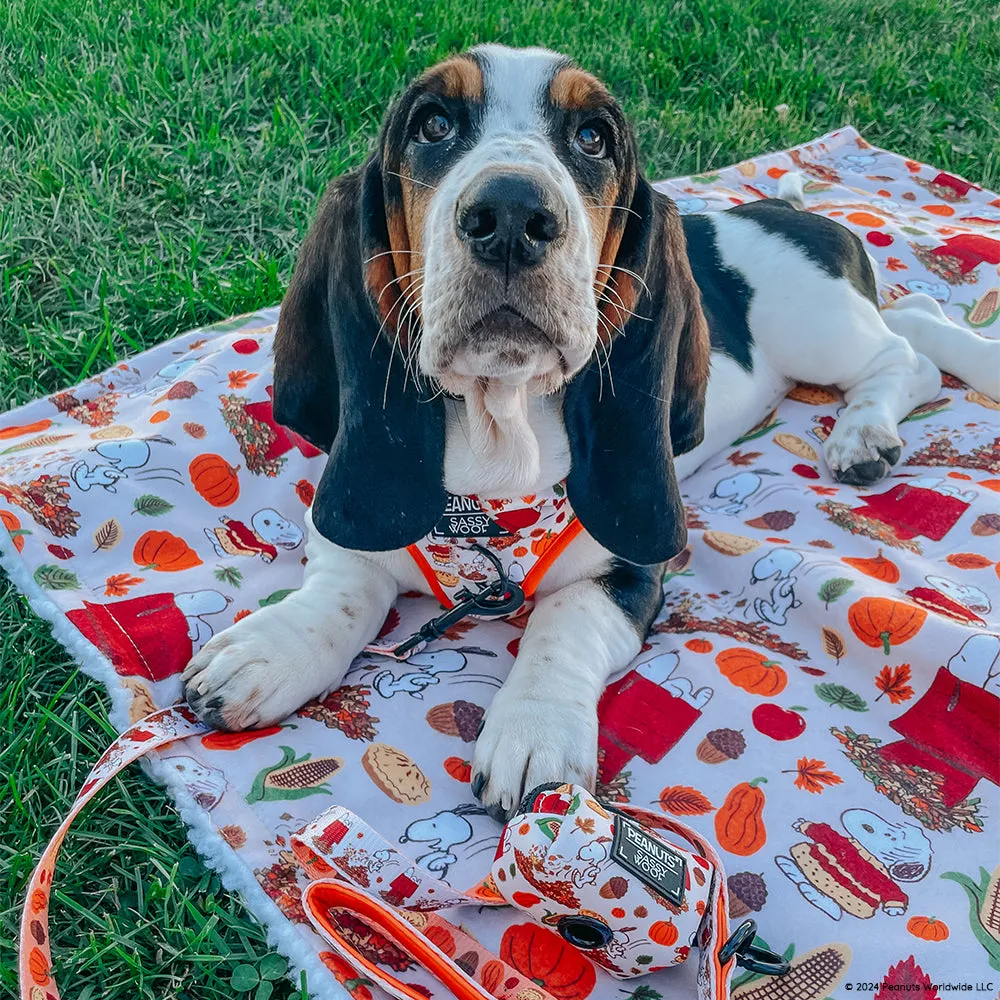 Dog Two Piece Bundle - Peanuts™ Harvest