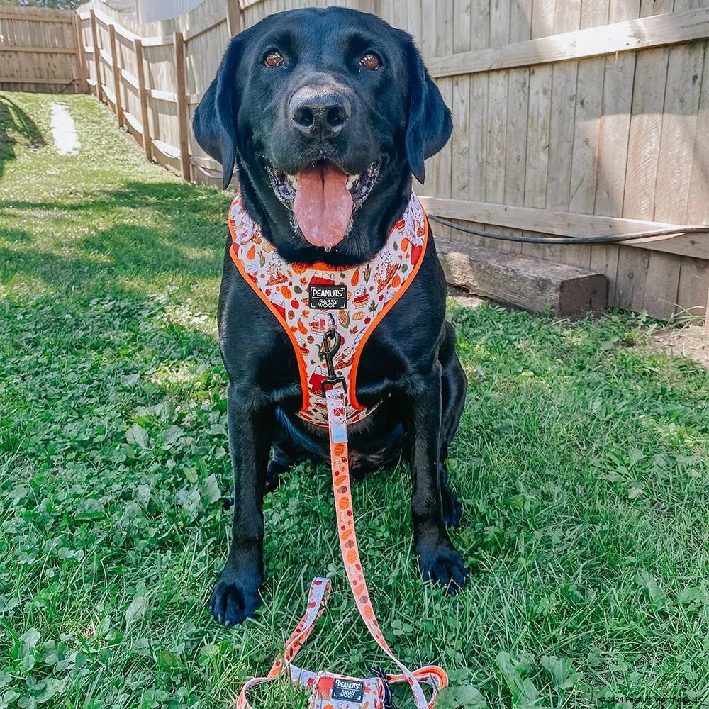 Dog Two Piece Bundle - Peanuts™ Harvest