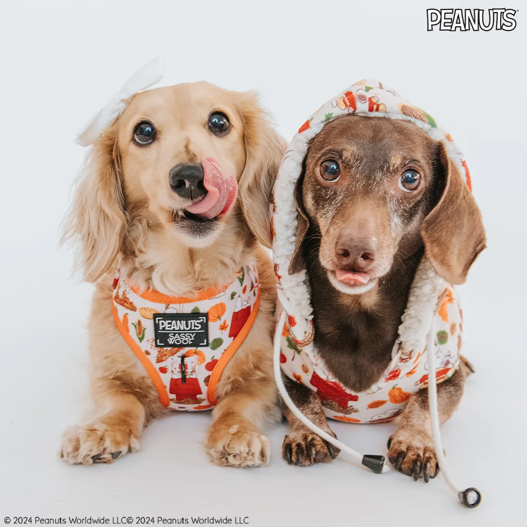 Dog Two Piece Bundle - Peanuts™ Harvest