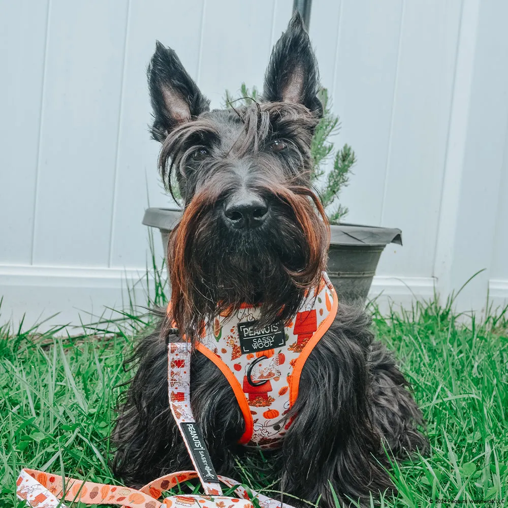 Dog Two Piece Bundle - Peanuts™ Harvest