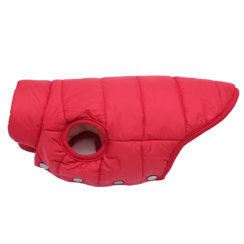 Puffer Dachshund Coat