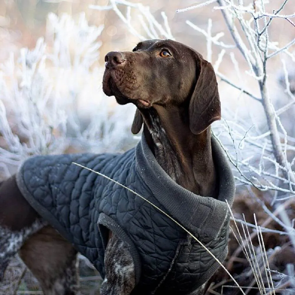 Rosewood Quilted Reversible Gilet Dog Coat