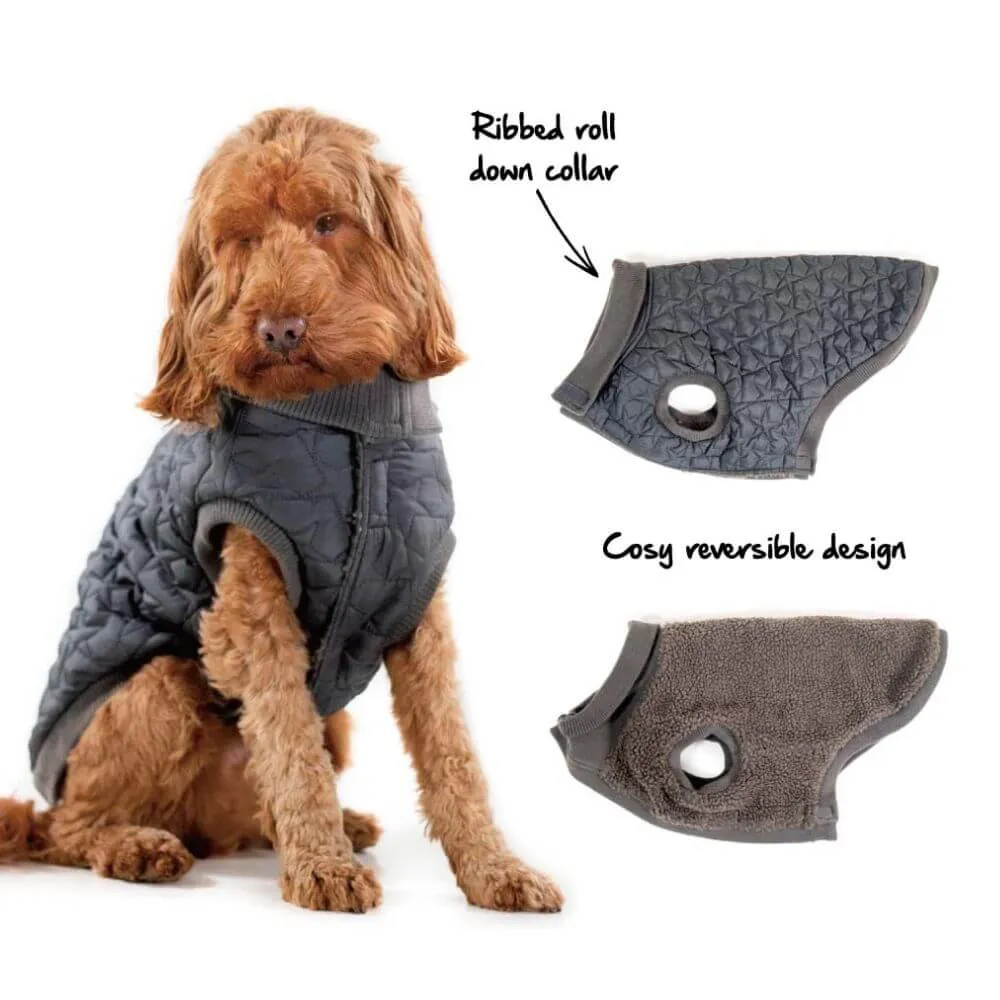 Rosewood Quilted Reversible Gilet Dog Coat