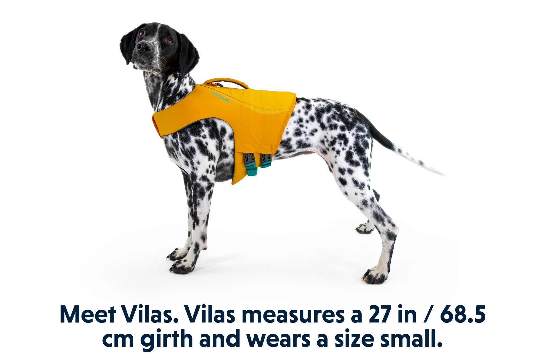 RP - Float Coat™ Dog Life Jacket