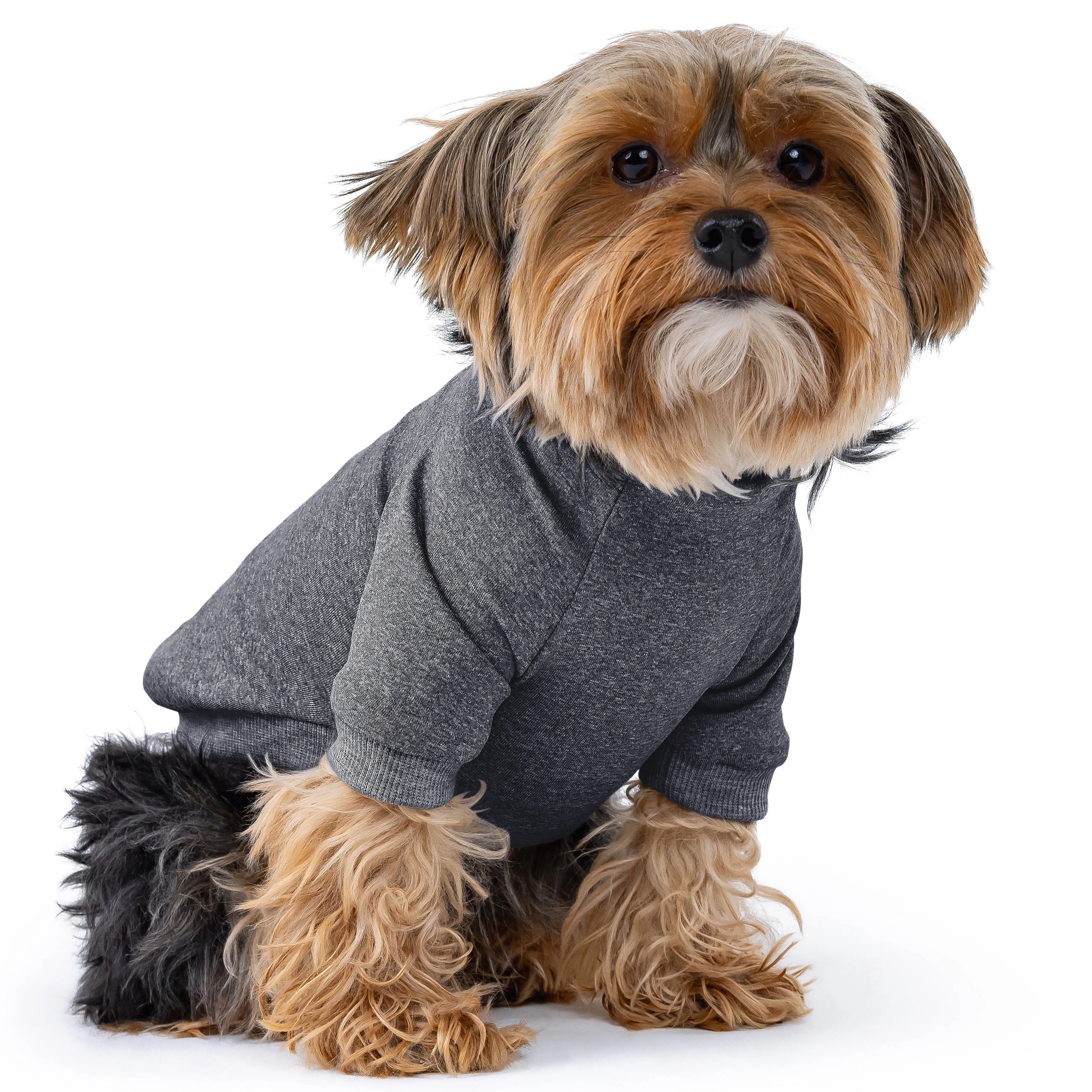 Solid Pet Thermals