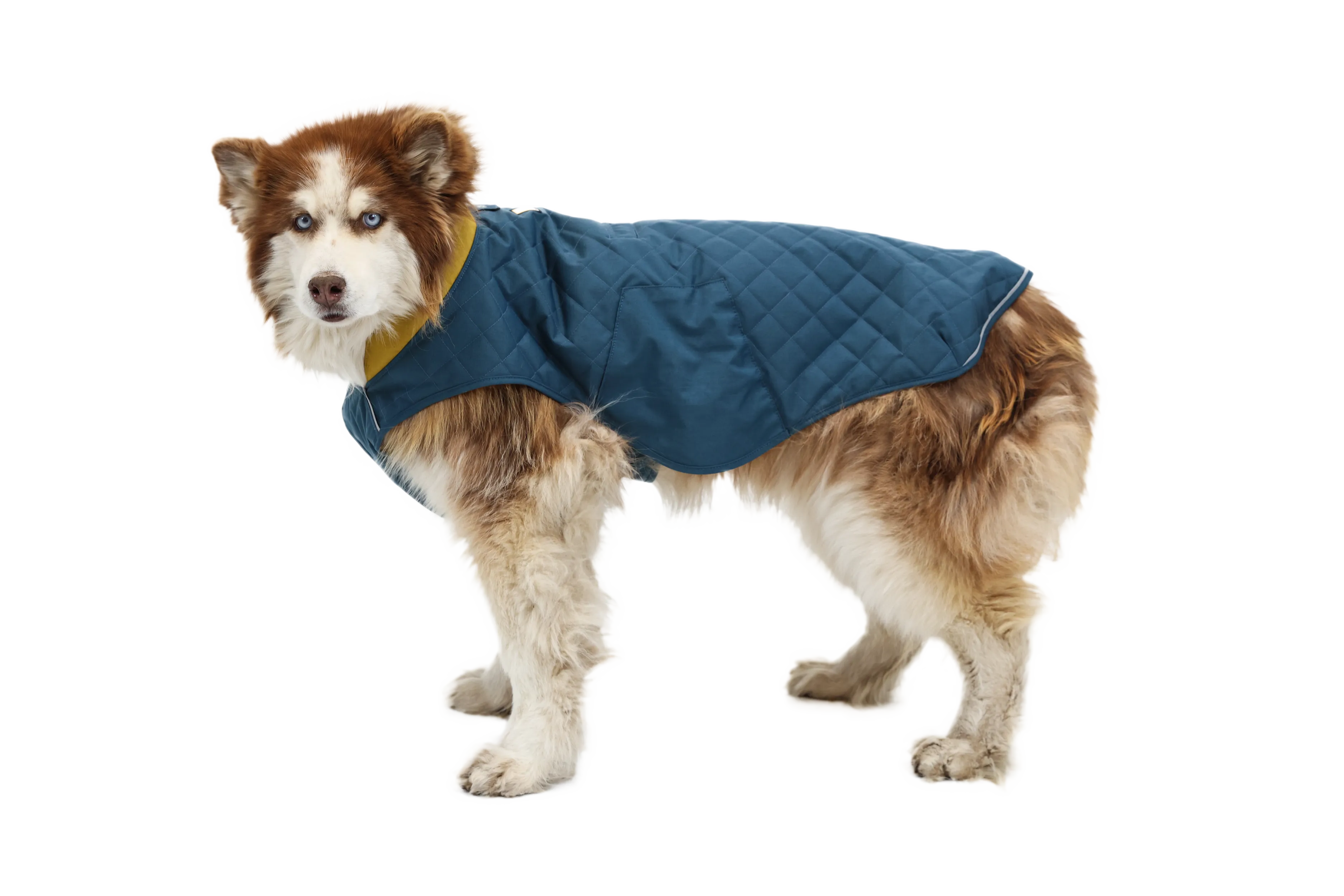 Stumptown™ Quilted Dog Coat